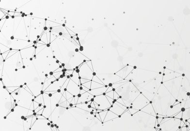 Il mosaico che nasce dalle lotte