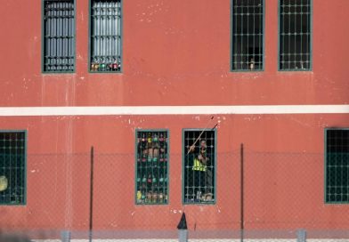 Io non ti credo più