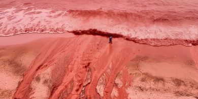 I volti della guerra: il rischio ecologico