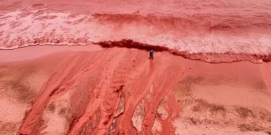 I volti della guerra: il rischio ecologico