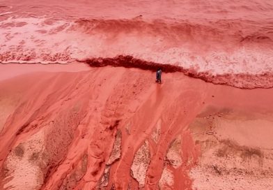I volti della guerra: il rischio ecologico