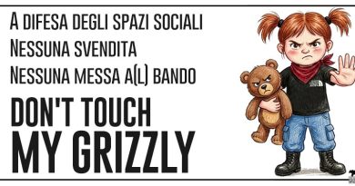 Don’t touch my Grizzly! A difesa degli spazi sociali