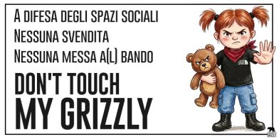 Don’t touch my Grizzly! A difesa degli spazi sociali