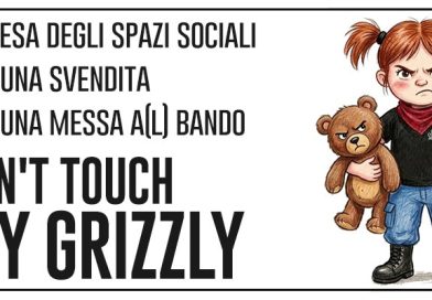 Don’t touch my Grizzly! A difesa degli spazi sociali