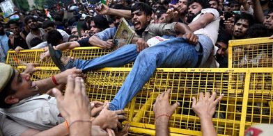 Come il movimento degli scarafaggi ha messo al muro il despota Modi